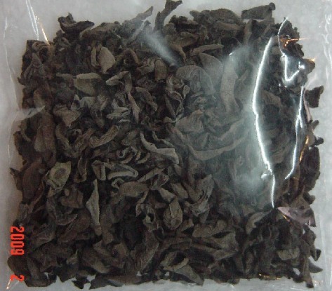 普通黑木耳三级