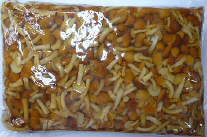 水煮滑子菇