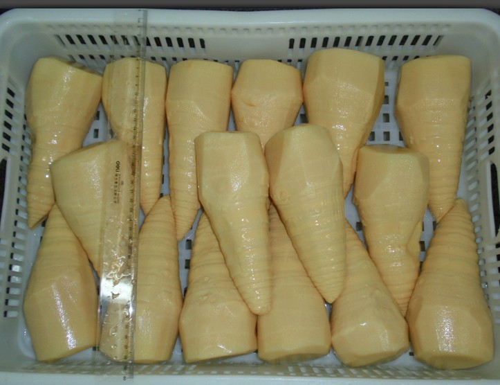 麻笋整只(18L)