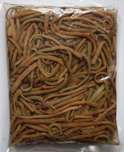 南方薇菜一级
